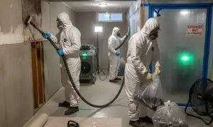 Mold remediation service for water damage restoration in Riverside, CA